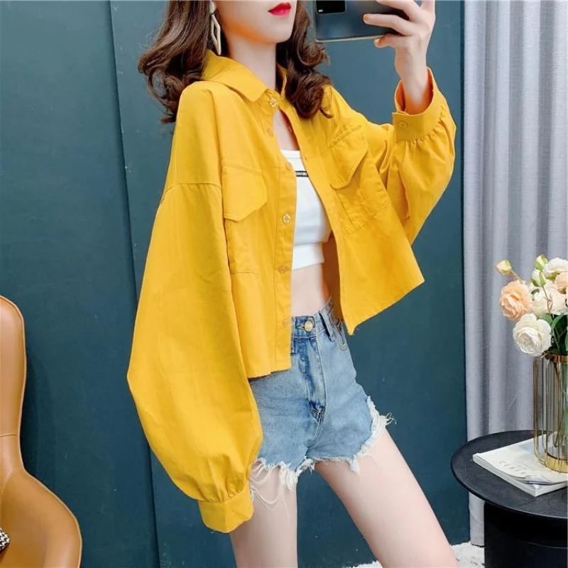 

Casual Thin Short Loose Coat Spring Autumn New Long Sleeve Polo Neck Solid Color Youth Trend Cardigan Top Fashion Women Clothing