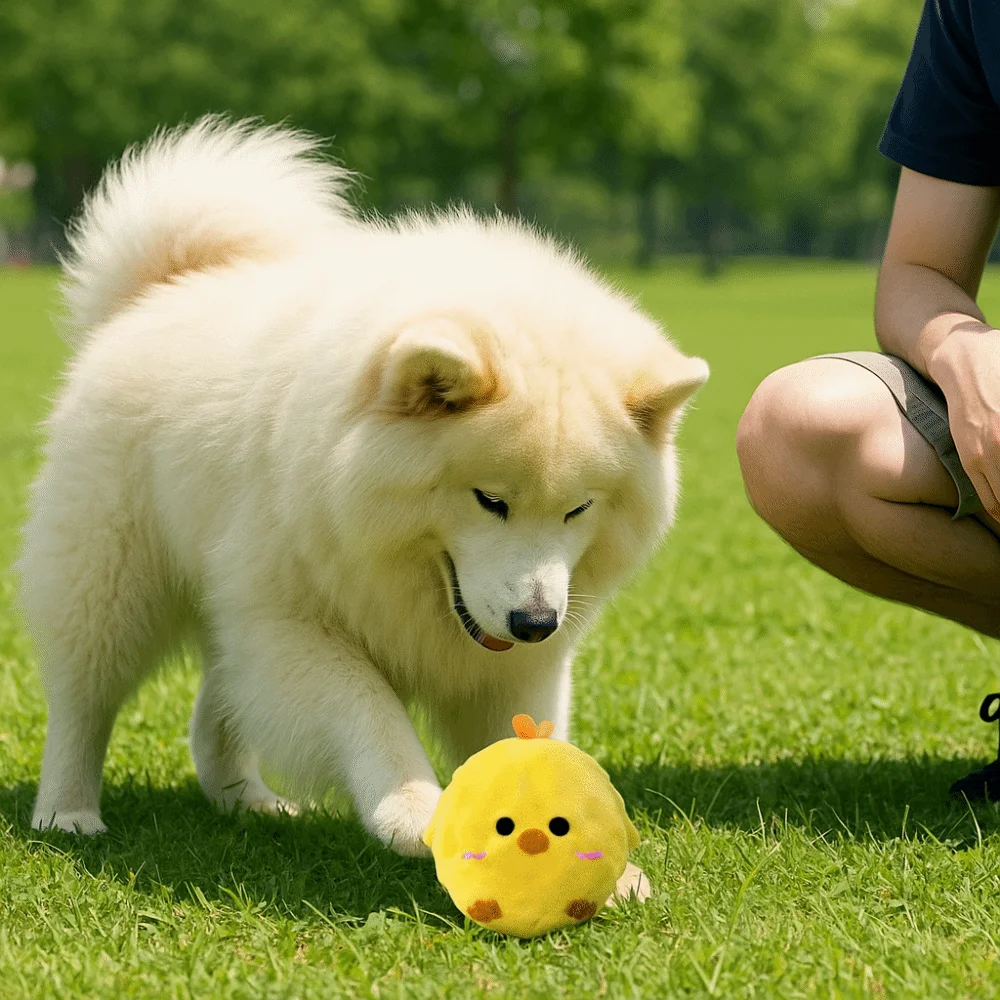 

Pet Plush Toy Cartoon Dog Chew Toy Animal Shape Plush Puppy Squeaky Toy Bite Resistant TPR Pet Sound Toy Dog Bite Training