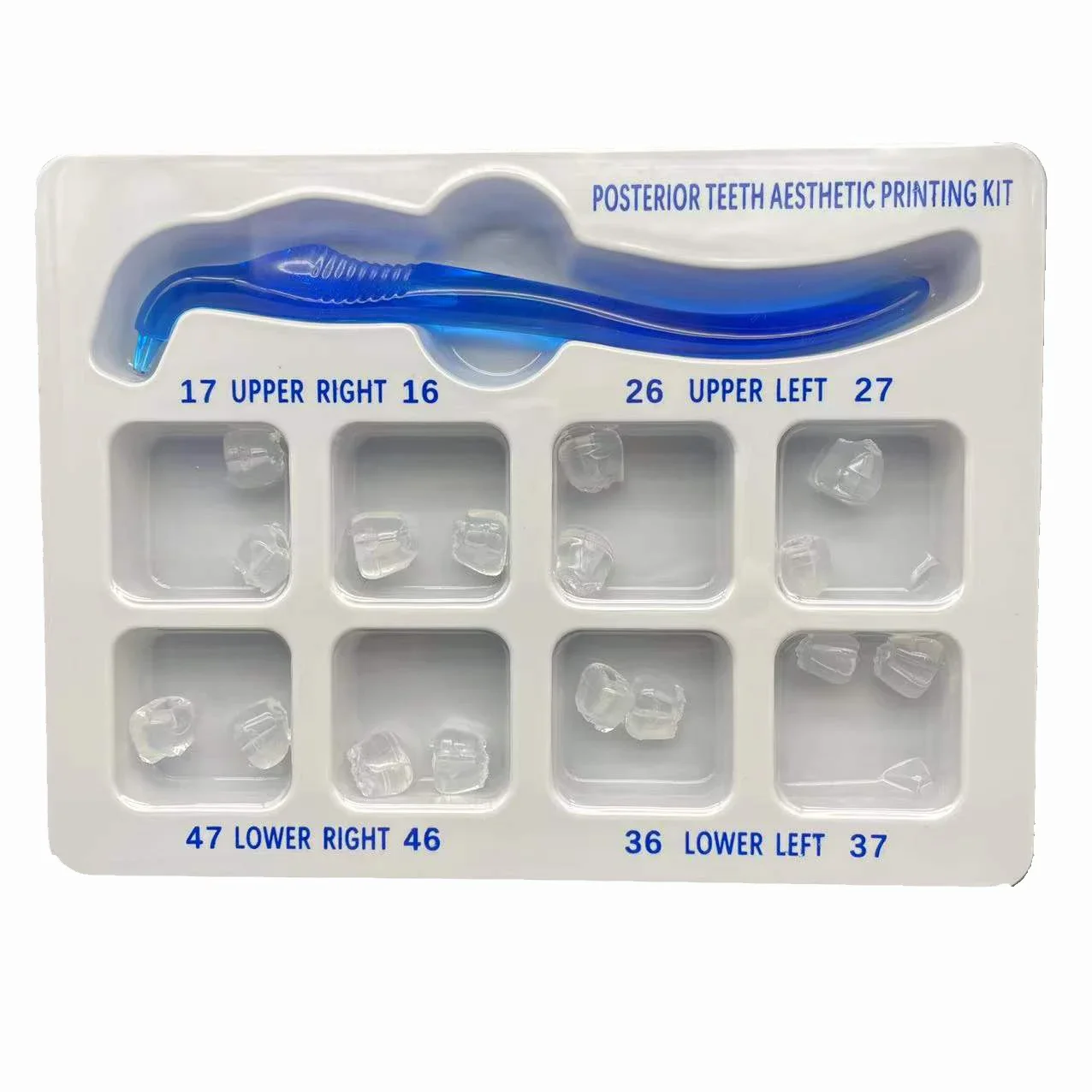 Dental Orthodontic Posterior Teeth Aesthetic Printing Kit for Restoration Quick Build Dentistry Tools Materials and Impressions