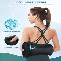 Travel Lumbar Pillow Inflatable Lumbar Support Pillow for Chair Car Seat Office Chair Back Support Lower Back Pain Relief