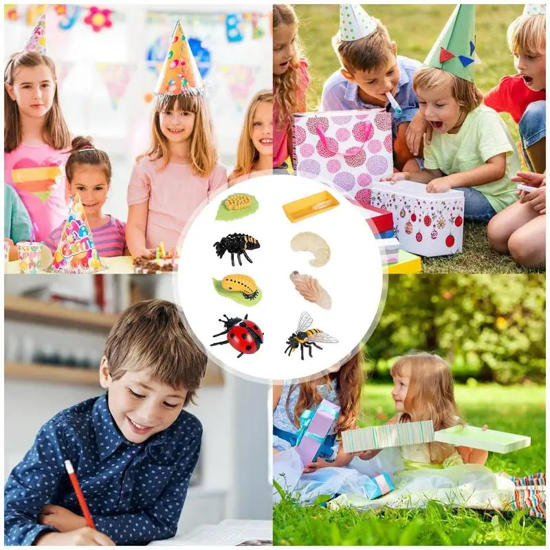 Biology Science Education Toys Life Cycle Figures Toys Realistic Ladybug And Bee Life Cycle Kit Ladybug Toys Farm Animal Growth