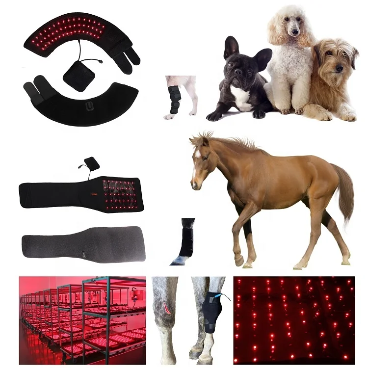 2024 Equine Infrared Light Therapy Wrap Pad Horse Red   Obstetric Apparatus