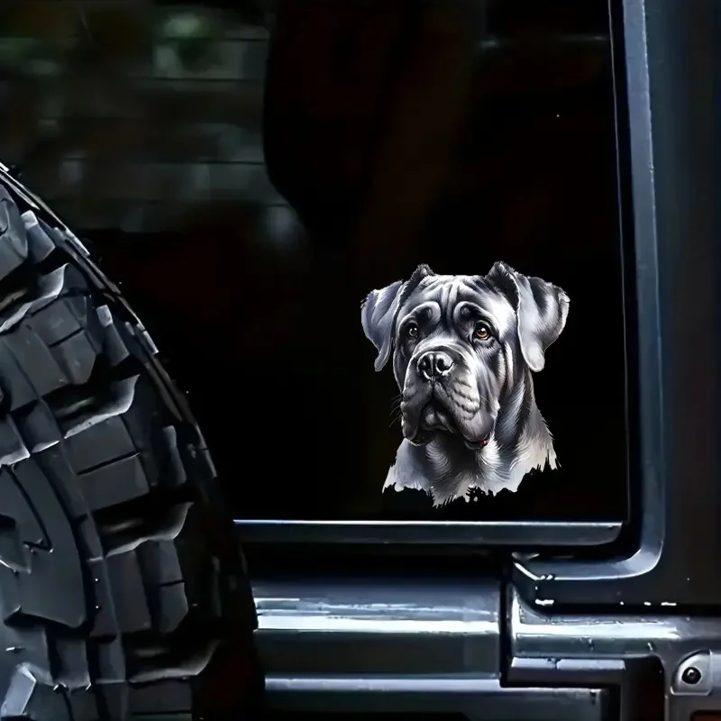 ملصق فينيل ذاتي اللصق من Cane Corso Dog، يستخدم لنوافذ السيارة، المصد، أجهزة الكمبيوتر المحمولة، ملحقات السيارة الخارجية المقاومة للماء #3