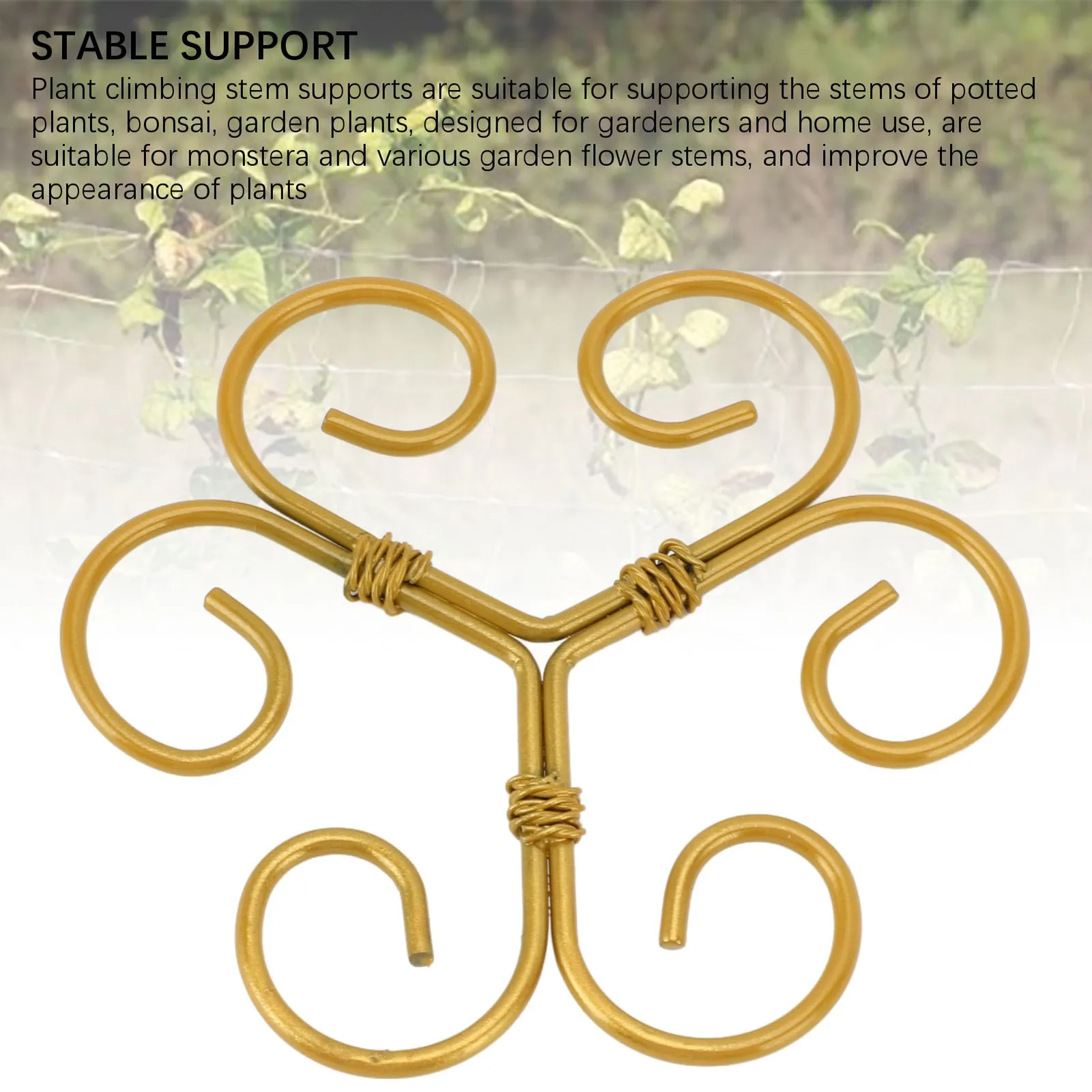 5Pcs Monstera Plant Support Hooks Iron Stem Holder For Growing Climbing BUN