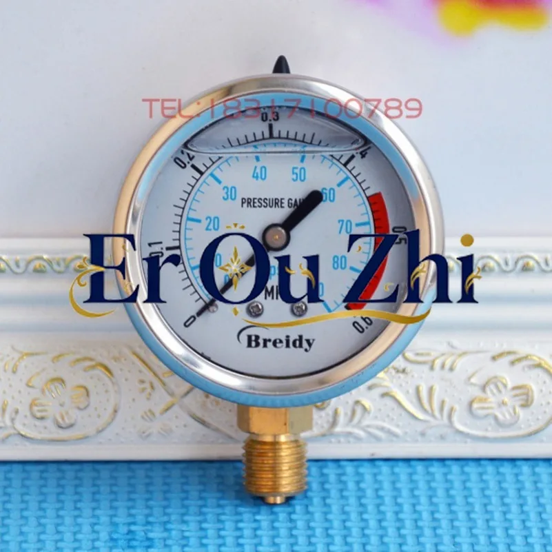 Seismic Pressure Gauge YN60 Hydraulic Pressure Pneumatic Hydraulic Pressure Gauge YN60 1.6/2 5/10/16/25/40MPa