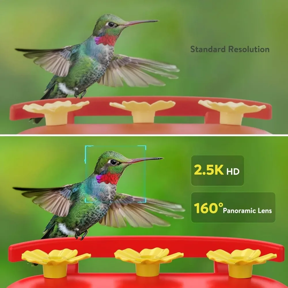 Comedero para colibríes con cámara alimentada por energía Solar, cámara alimentadora de colibrí inalámbrica HD de 2,5 K, identificación AI, captura automática de vídeos para pájaros