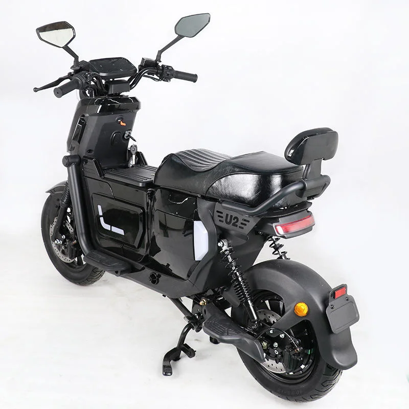 Electric Road Bike 48V Dual Battery Dual Motor 15A 44Ah 2000W Electric City Bike /Electric Mountain Bike/ Electric Cargo Bike