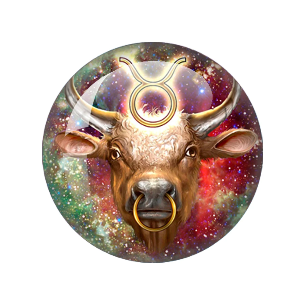 12 Zodiac Signs Art Picture 12mm/14mm/16mm/18mm/20mm/25mm/30MM/40mm Round Photo Glass Cabochon Demo Flat Back Making Findings