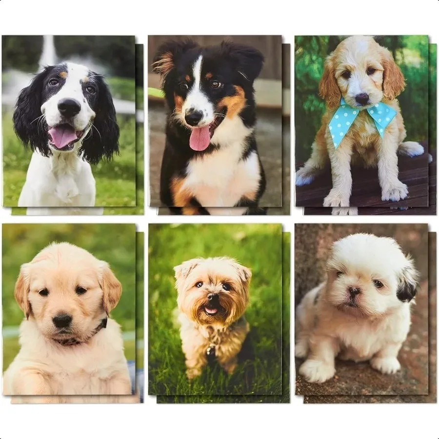 

12 Pack Dogs Pocket File Folders Decorative Puppy Designs for School Office Letter Size 12x9.5 in Cute Folders