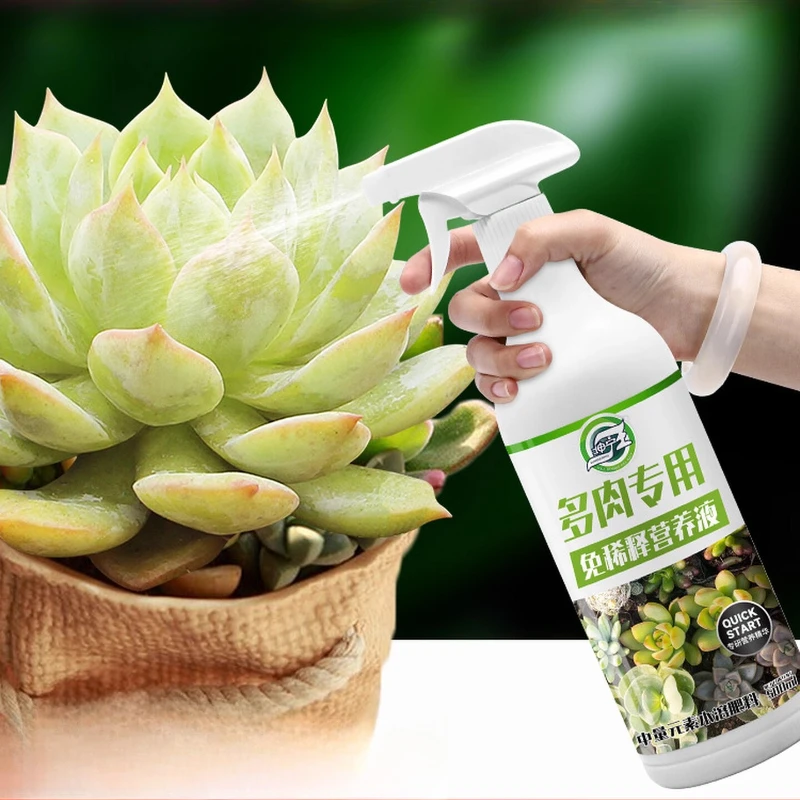 Non Diluted Succulent Nutrient Solution Special Fertilizer Namely Spray Fertilizer Meat and Plant Household Universal Type