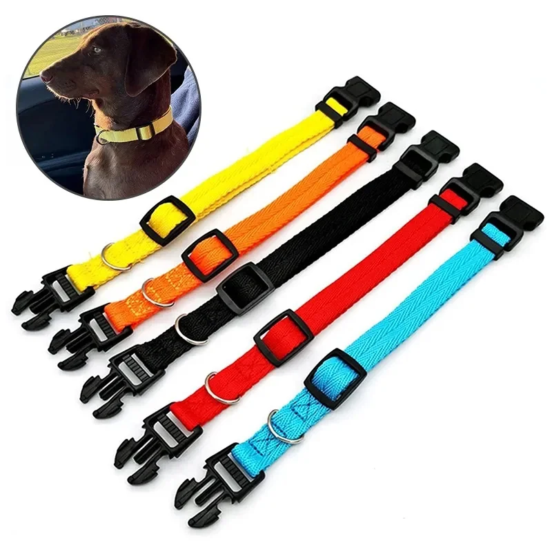 Nylon Webbing Dog Collar, Heavy Duty, Clip Buckle, Pet Collar para cães pequenos e médios, Chihuahua, vermelho, preto, azul, roxo