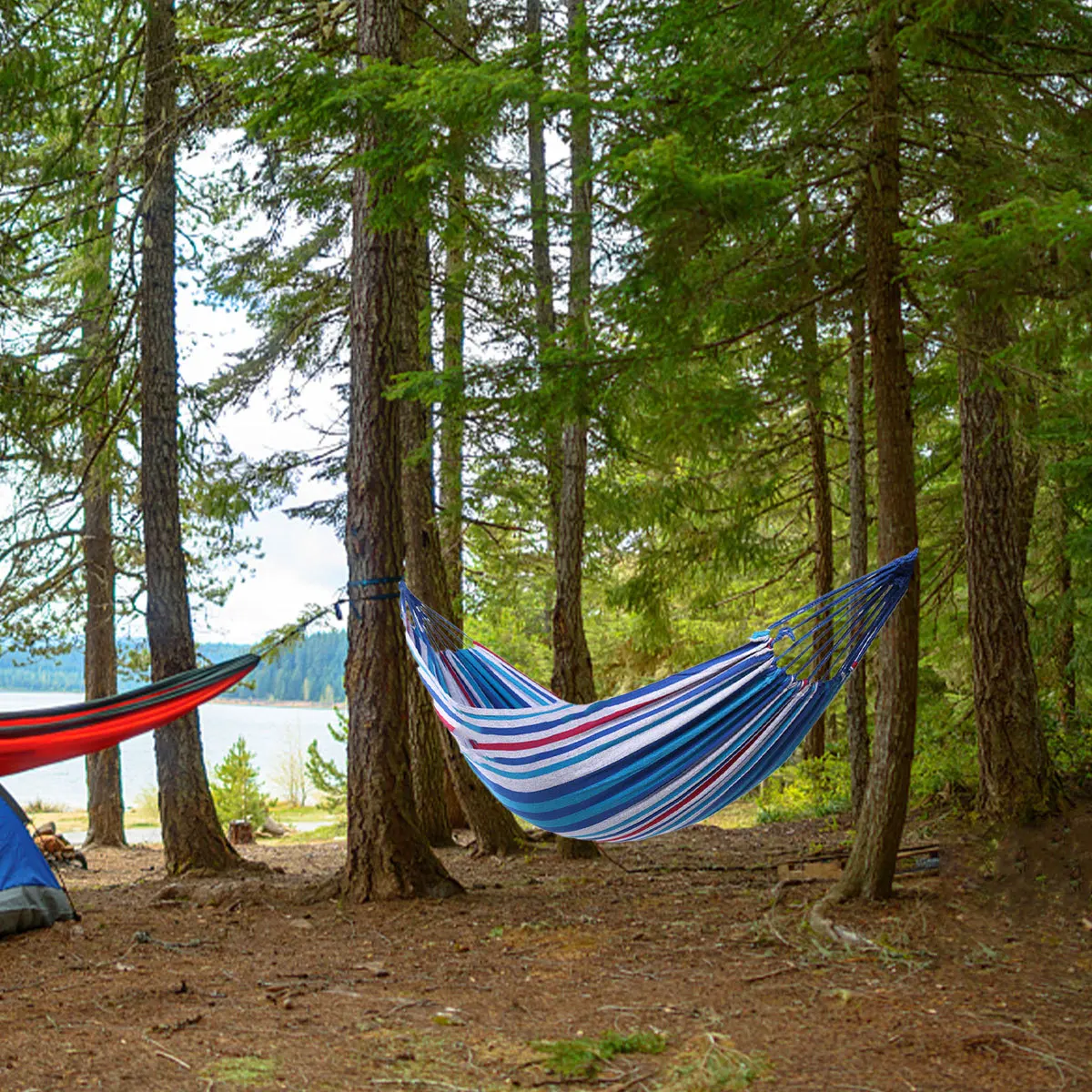 

Outdoor Hammock Attractive Appearance Hammocks for outside Chair Strong Bearing Capability Swing Rope