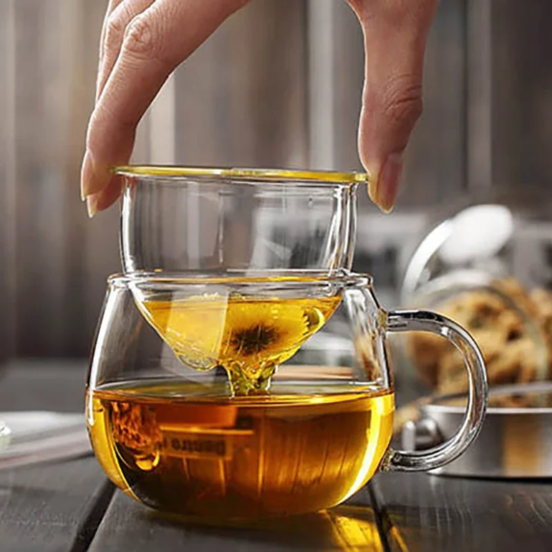 Transparent Glass Tea Cup with Lid, Infuser Filter, Heat Resistant Handle, Borosilicate Drinkware, Drinking, Milk, Coffee