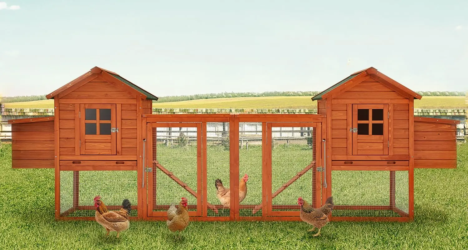 

Large Wooden Chicken Coop with Run Removable Tray 123in 4-6 Hens Backyard Poultry Cage Customized