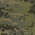 Multicam Tropic