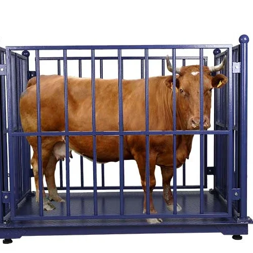 1-1.5 Ton 1.2*1.2 m Digital Weighting Cattle Scales Electronic Animal Scales with Lock and Fences