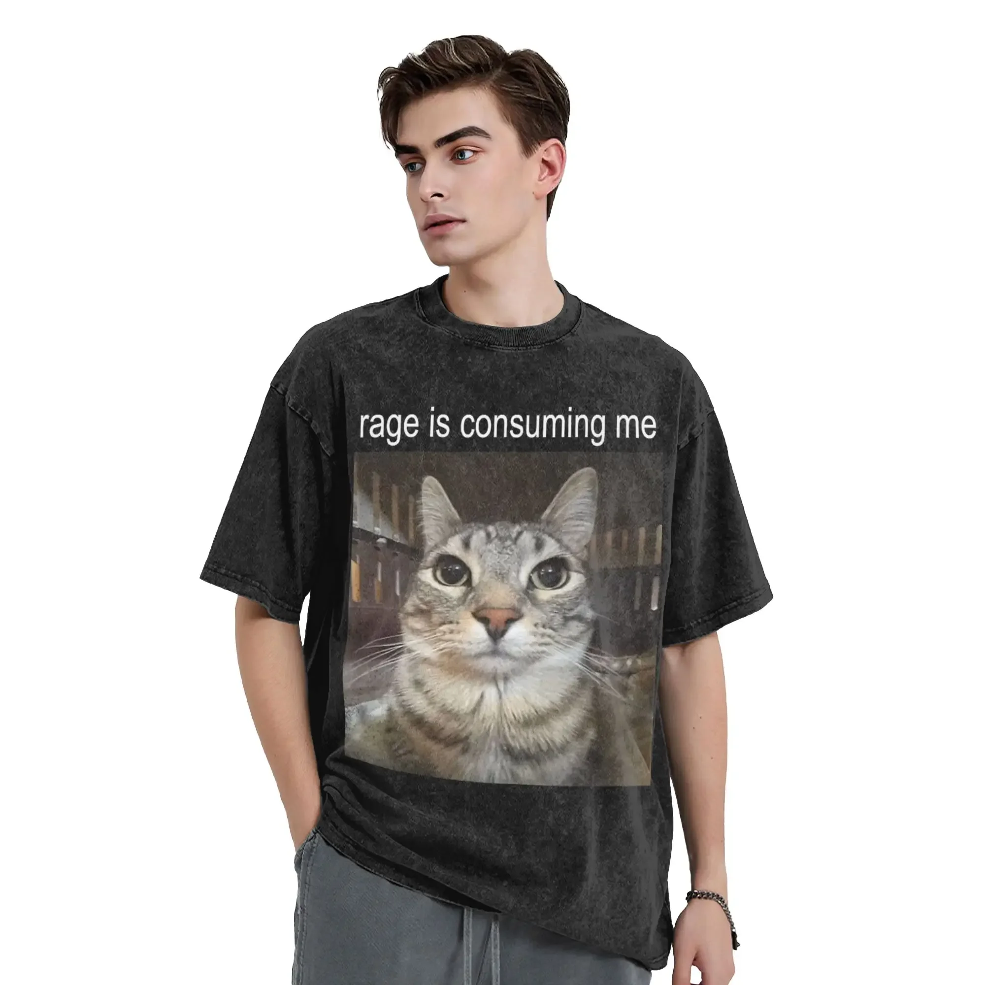 Rage is Consuming Me Silly Staring Cat Meme Washed T Shirt Streetwear  T-Shirt Tees Men Women Short Sleeve Oversize