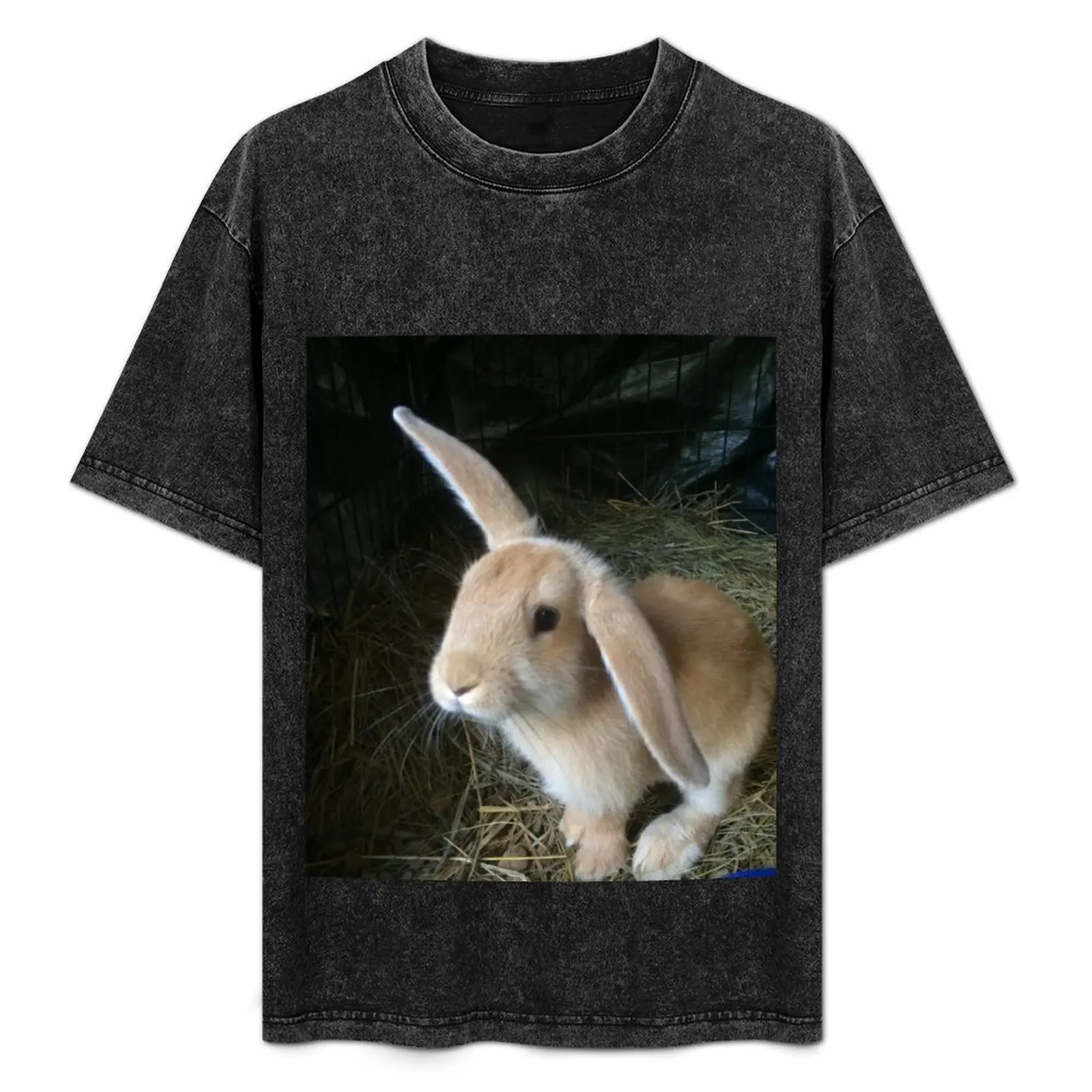 

Little Tan Bunny With One Lop Ear T-Shirt Breathable Sportswear T-Shirt for Men