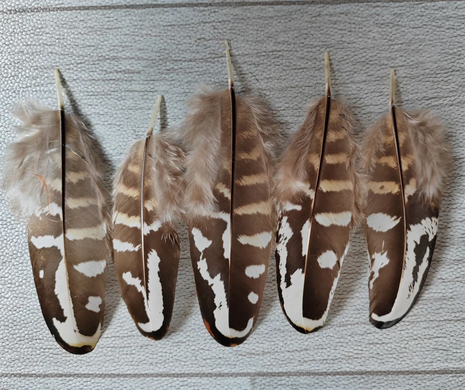 100Pcs  7-10cm Natural Brown White Reeves Pheasant Small Quill Feathers DIY Supplies for Craft Jewelry Costume Making