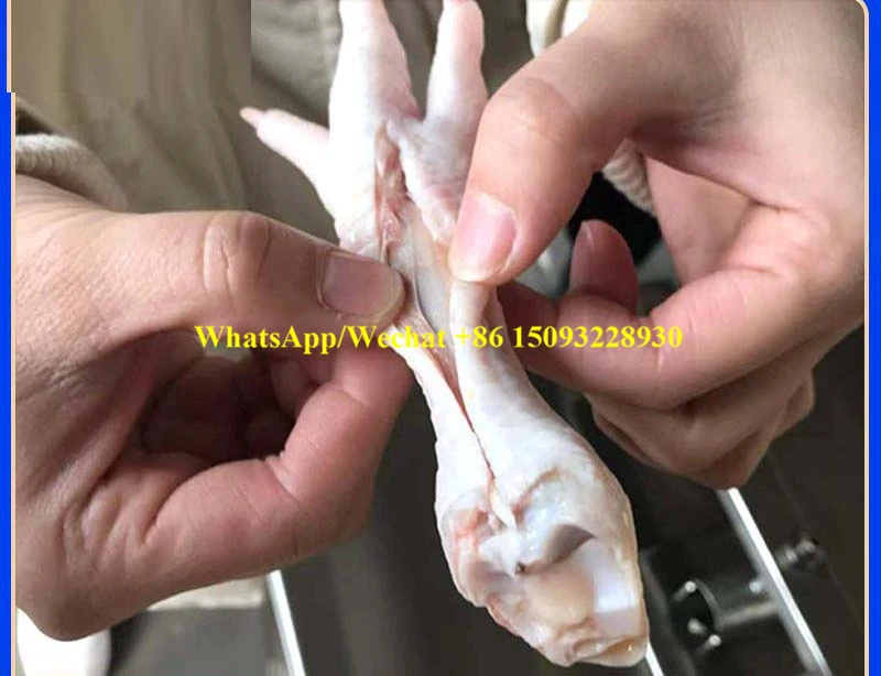 آلة إزالة عظام أقدام الدجاج الكهربائية والكفوف/آلة أقدام الدجاج آلة إزالة عظام أقدام الدجاج/سعر آلة قطعة العاج #4