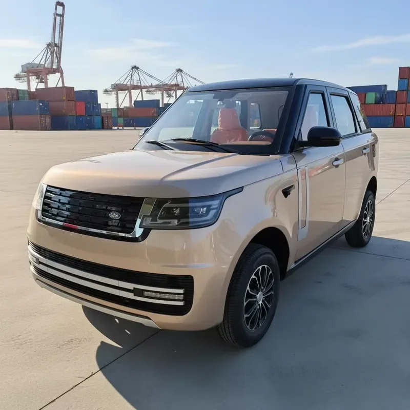 Lithium battery electric vehicle adult left-hand drive new energy vehicle low price