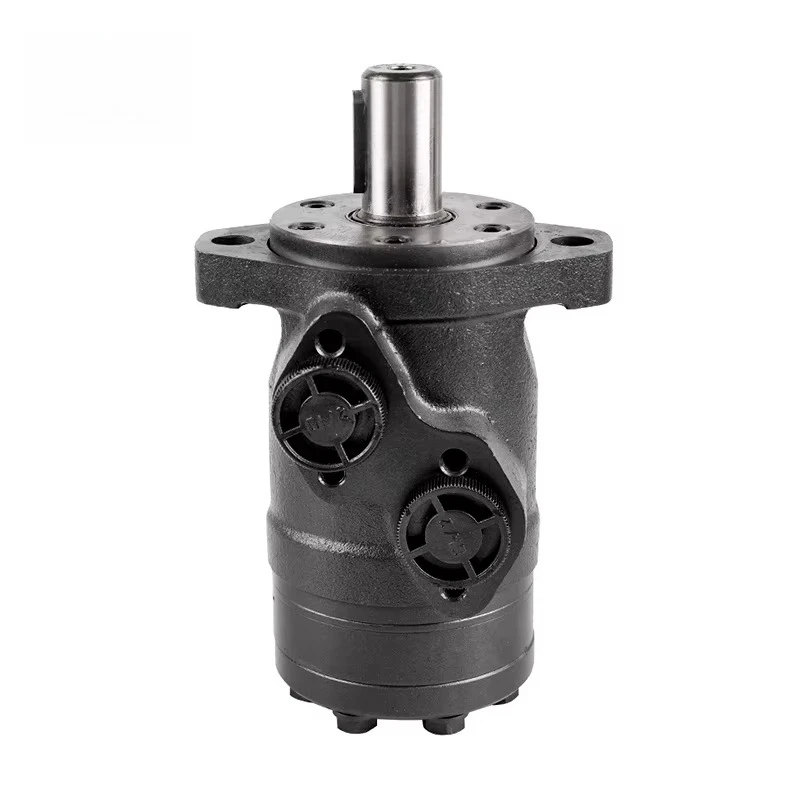 

Hot selling：101 Series 1011038009 TE/TB Hydraulic Pump Motor OMPH BMPH BM1 BMP OMP 80 160 400 500 Hydraulic Motors