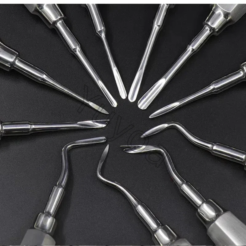 1Pc 24styles Winda dentystyczna Narzędzia do wyciągania zębów ze stali nierdzewnej Instrument chirurgiczny dentystyczny Prosta zakrzywiona winda spiralna — zdjęcie 4