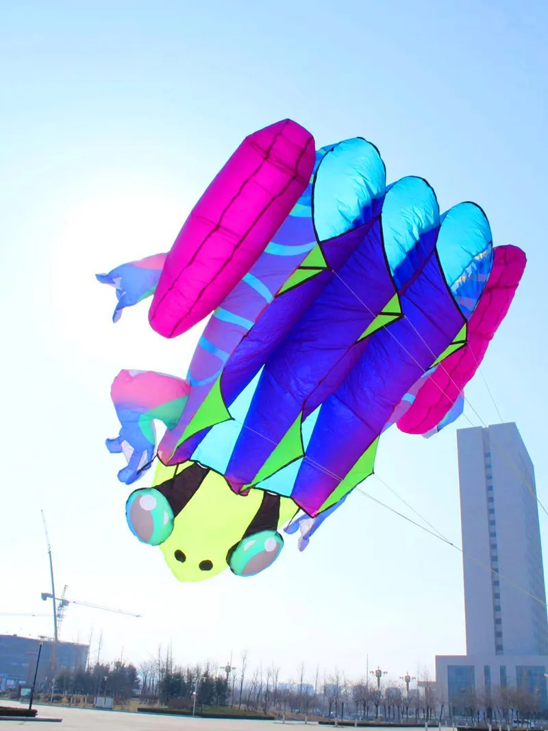 free shipping frog kite flying soft kite for adults windsurf outdoor toys inflatable games professional toy sports Kite string