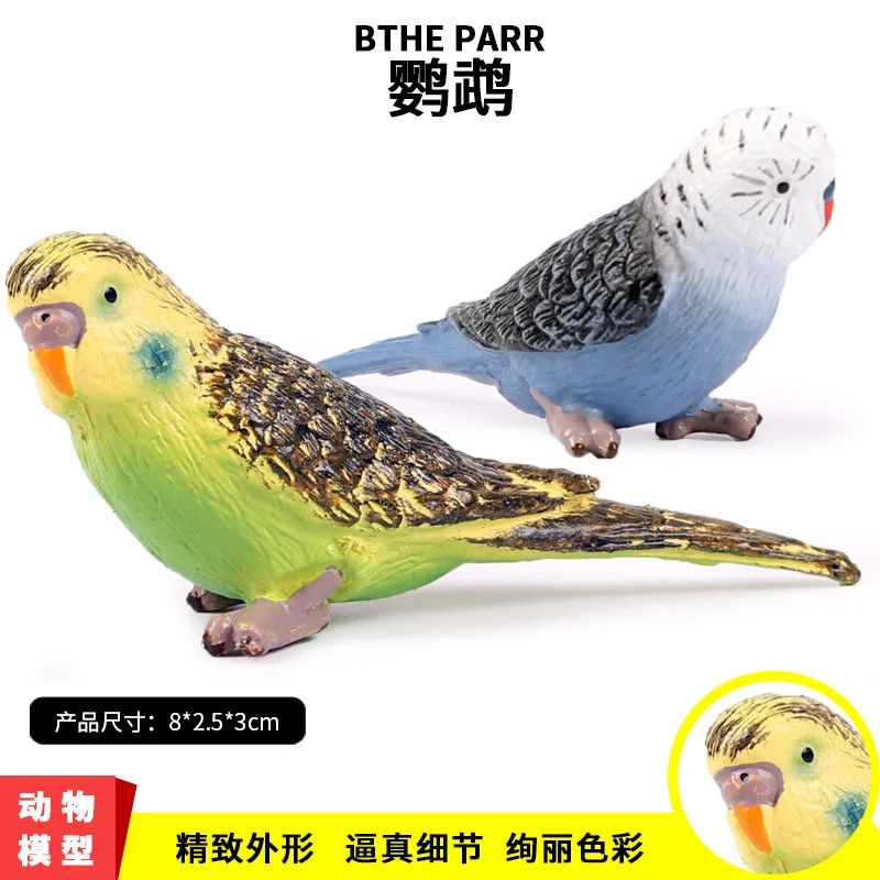 Simulated Bird Parrot Set Model Decorations Wild Plastic Animal Model Toys