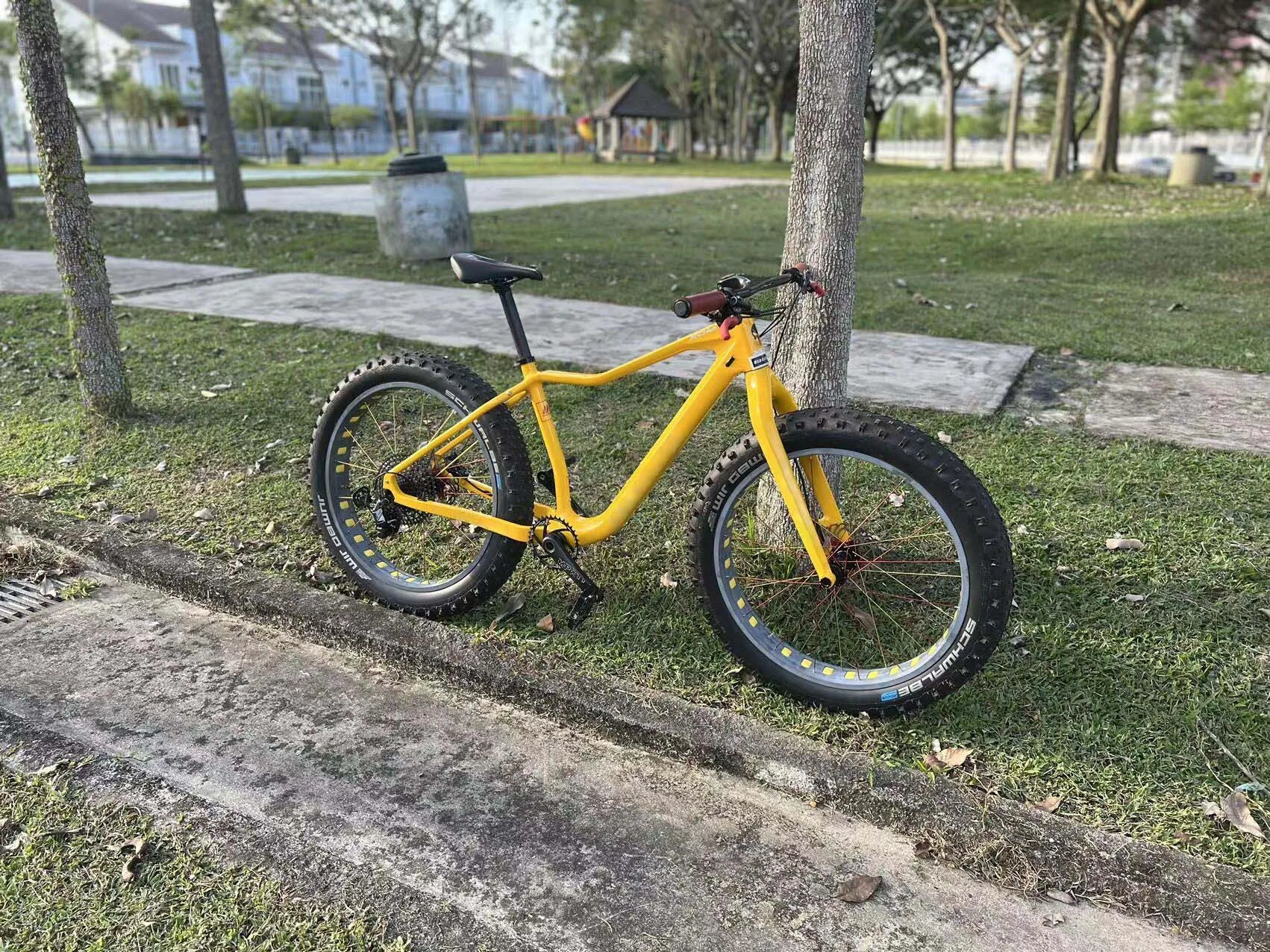 New private mold Carbon fat bike frame For snow bicycle 26er * 5.0\'\' Rear Space 197*15mm BSA100