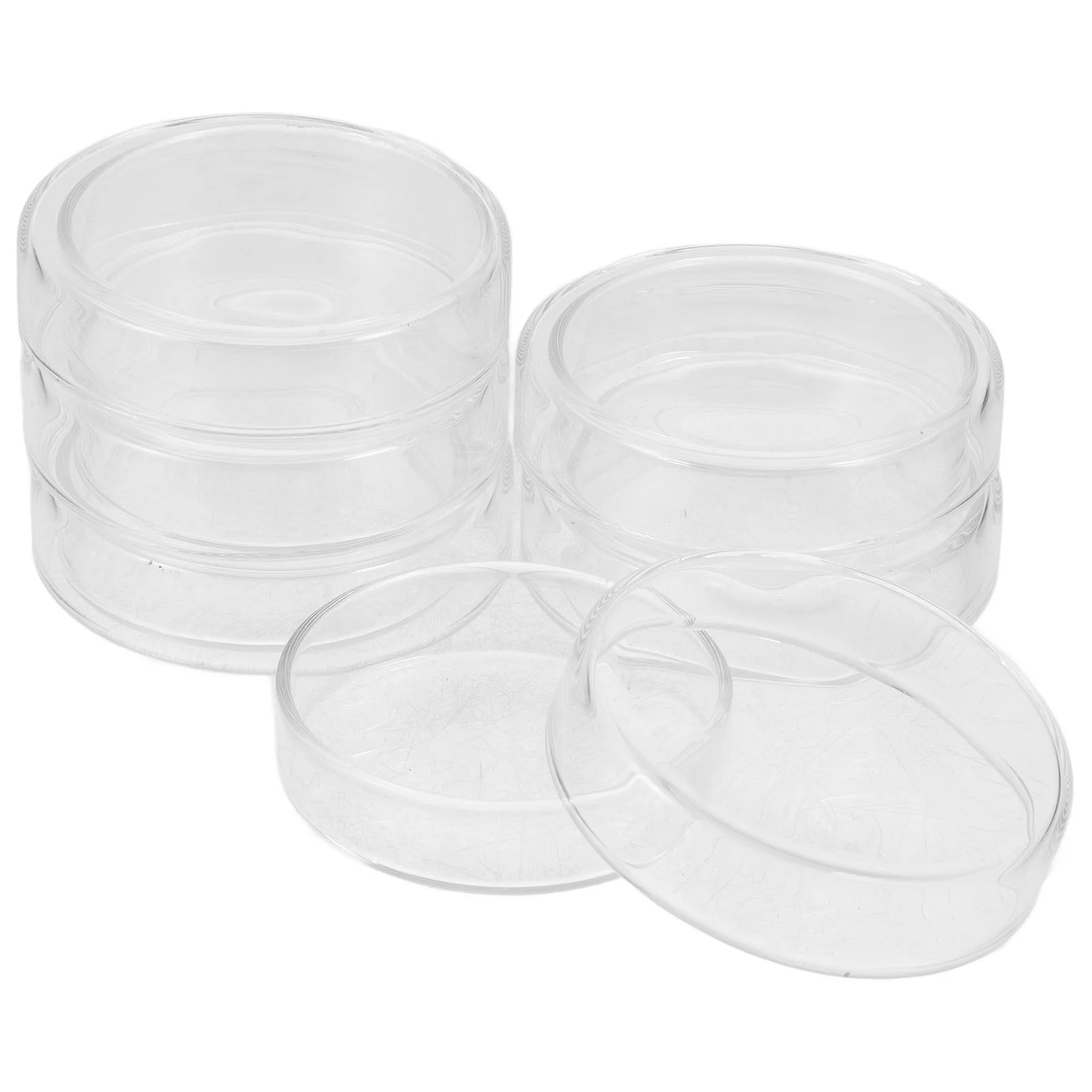 6 Pcs Glass Petri Dish Holder with Lid Chemistry Laboratory Plates Tray Cover Agar Dishes