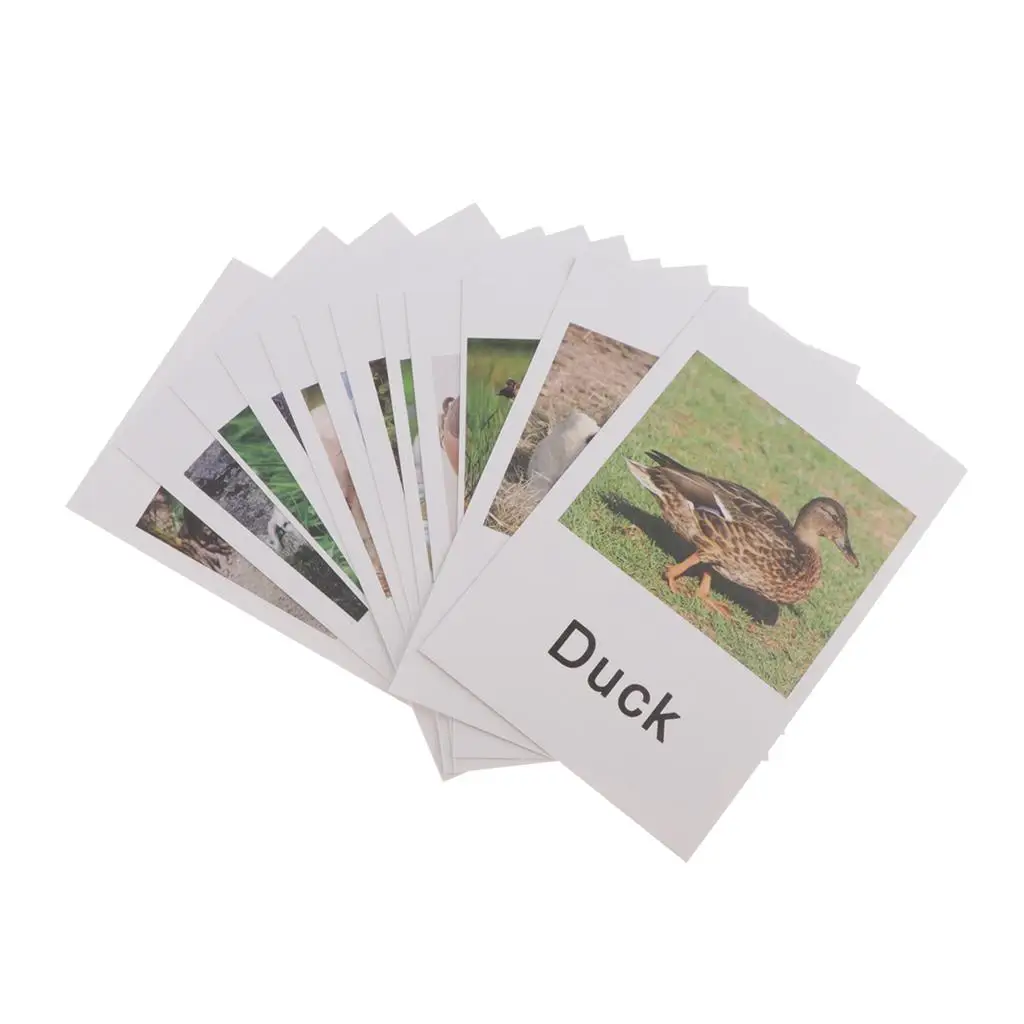 Education Animals Toy Montessori Card Game Miniature Figurine Learning Toys for Children’s Development and Classroom Use