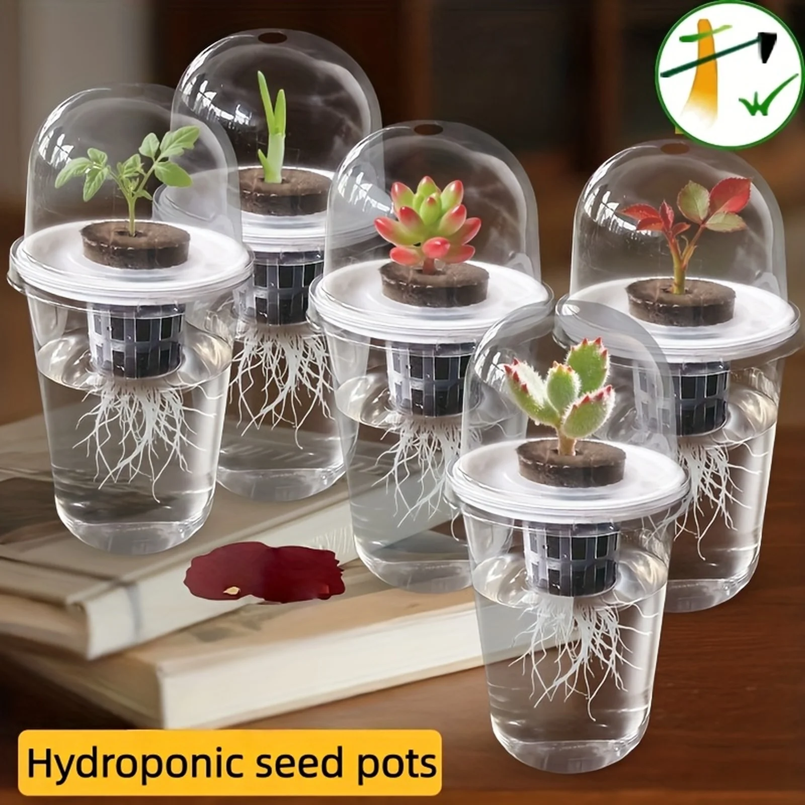 Hydroponic Seed Starter Pots Clear Plastic Cylindrical Seedling Pots With Dome Self Watering Nursery Pots Succulents Vegetables