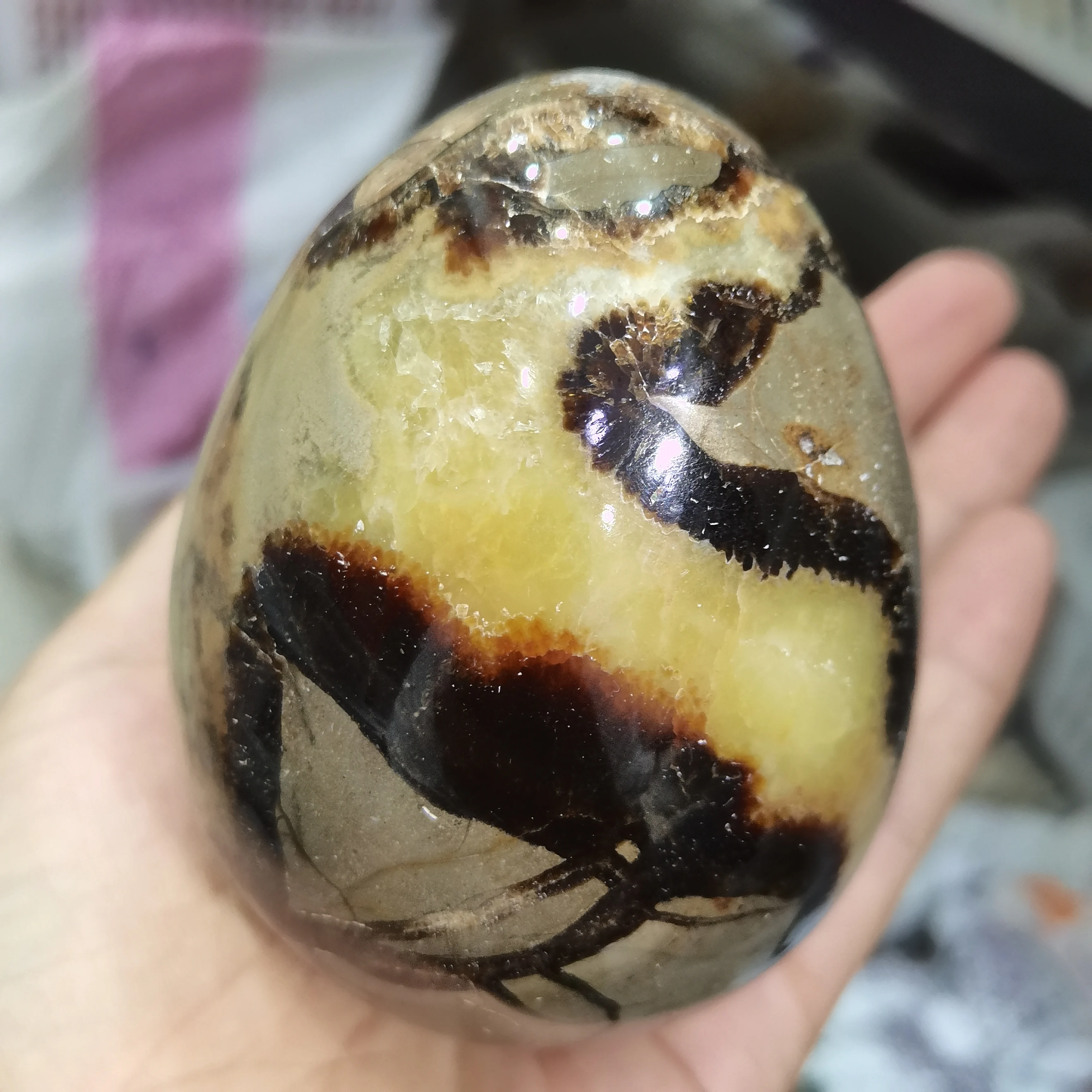 1pc Natural septarian sphere septarium Natural Dragon Stone  Septarium Fossil Crystal Sphere Ball egg Reiki Healing Home Decor