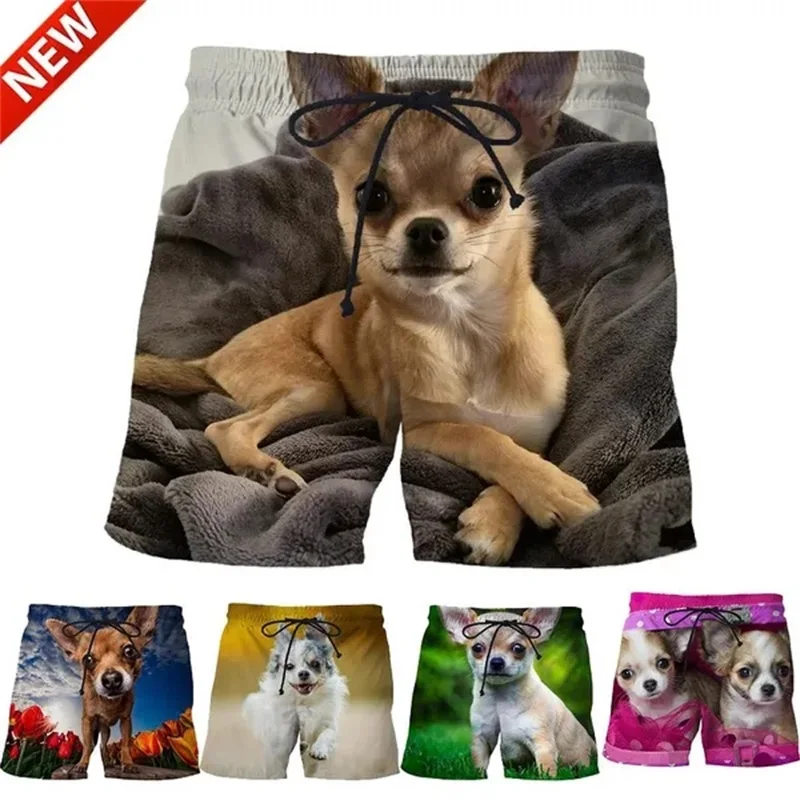 Animal Dog Pattern Full Print Beach Ice Shorts For Men Casual Chihuahua Board Shorts Summer Oversized Mens Swimming Surf Jams