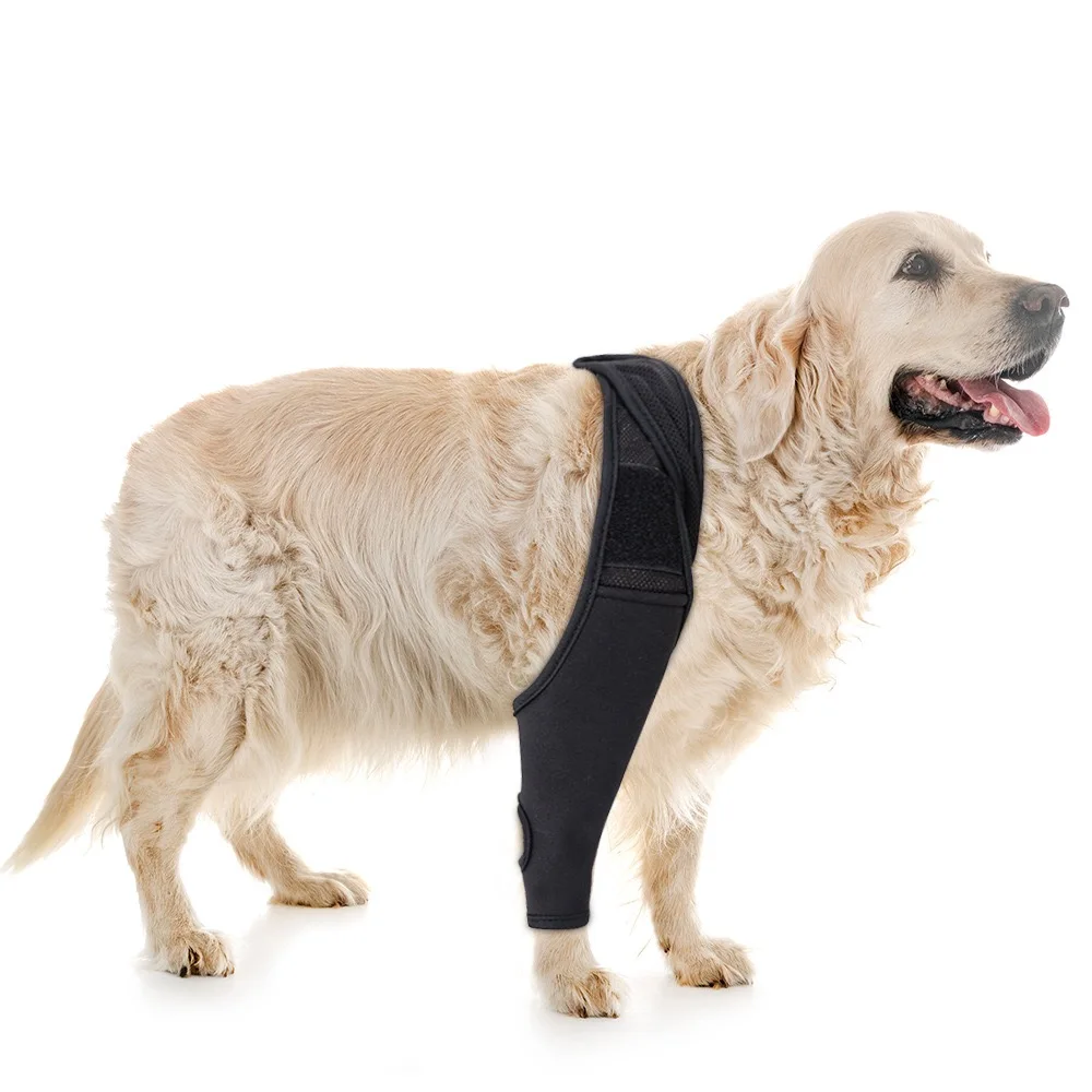 OEM Dog Knee Support Wrap Post Surgery Recovery Sleeve Anti Scratch Protective Bandage for Pets