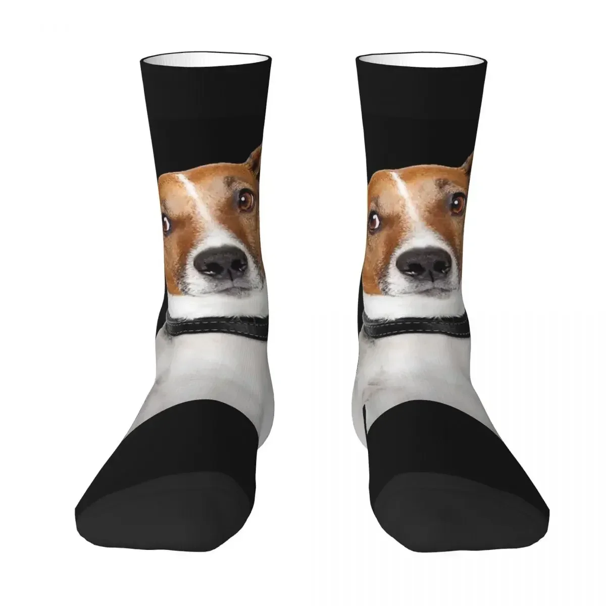 Jack Russell Terrier Dog Funny Socks Harajuku Absorbing Stockings All Season Long Socks Accessories for Unisex Birthday Present