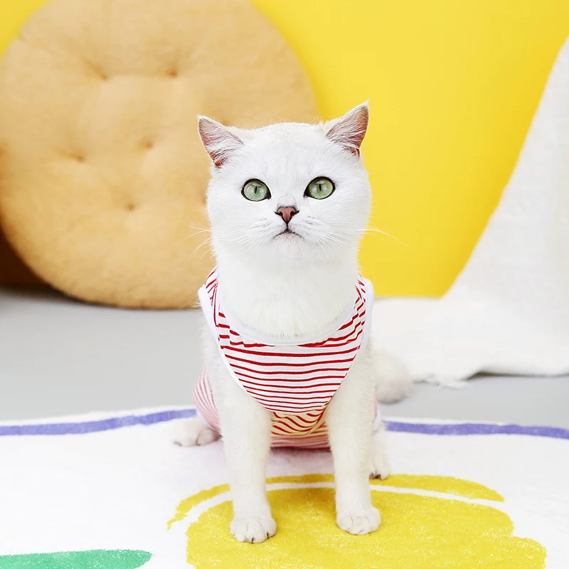 Kitten Recovery Suits Puppy Pet Vest Cat Anti-Licking Surgery Recovery Clothes Breathable Pet Care Jumpsuit Dogs Supplies