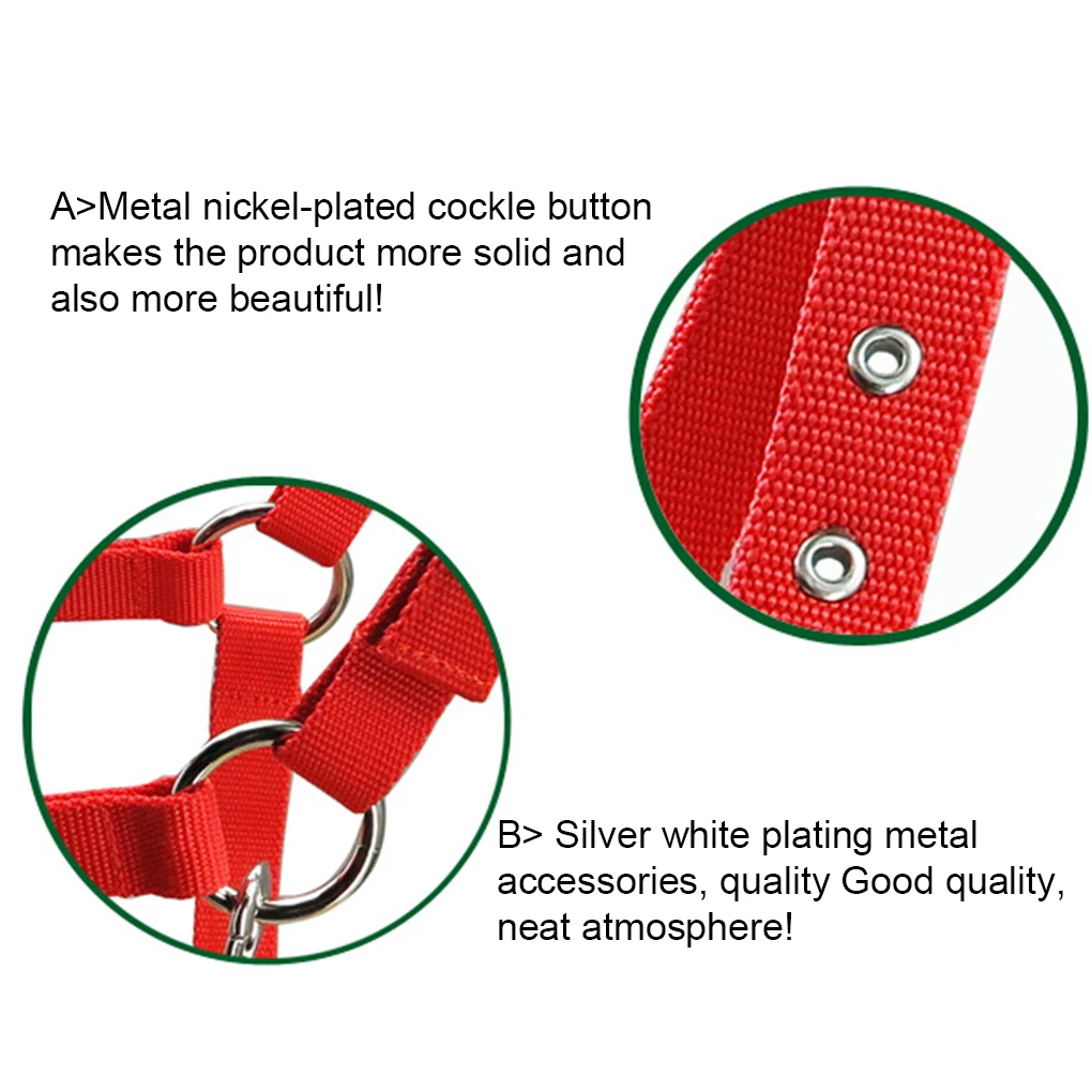 Padded Halter Pony Bridle Head Collar Zinc Alloy Protection Handily Wear Professional Racing Saddle Pad Blue S