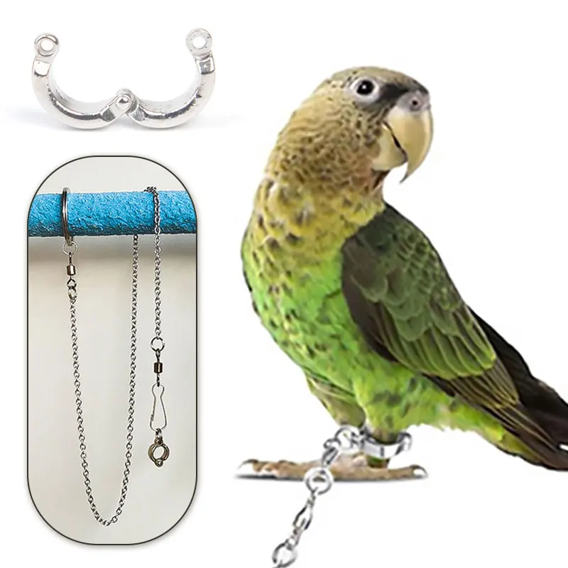 Stainless Steel Parrot Chain Bird Foot Ring Stand Chain Parrot Rope Bird Chain Anti Bite Wire Rope Outdoor Flying Training