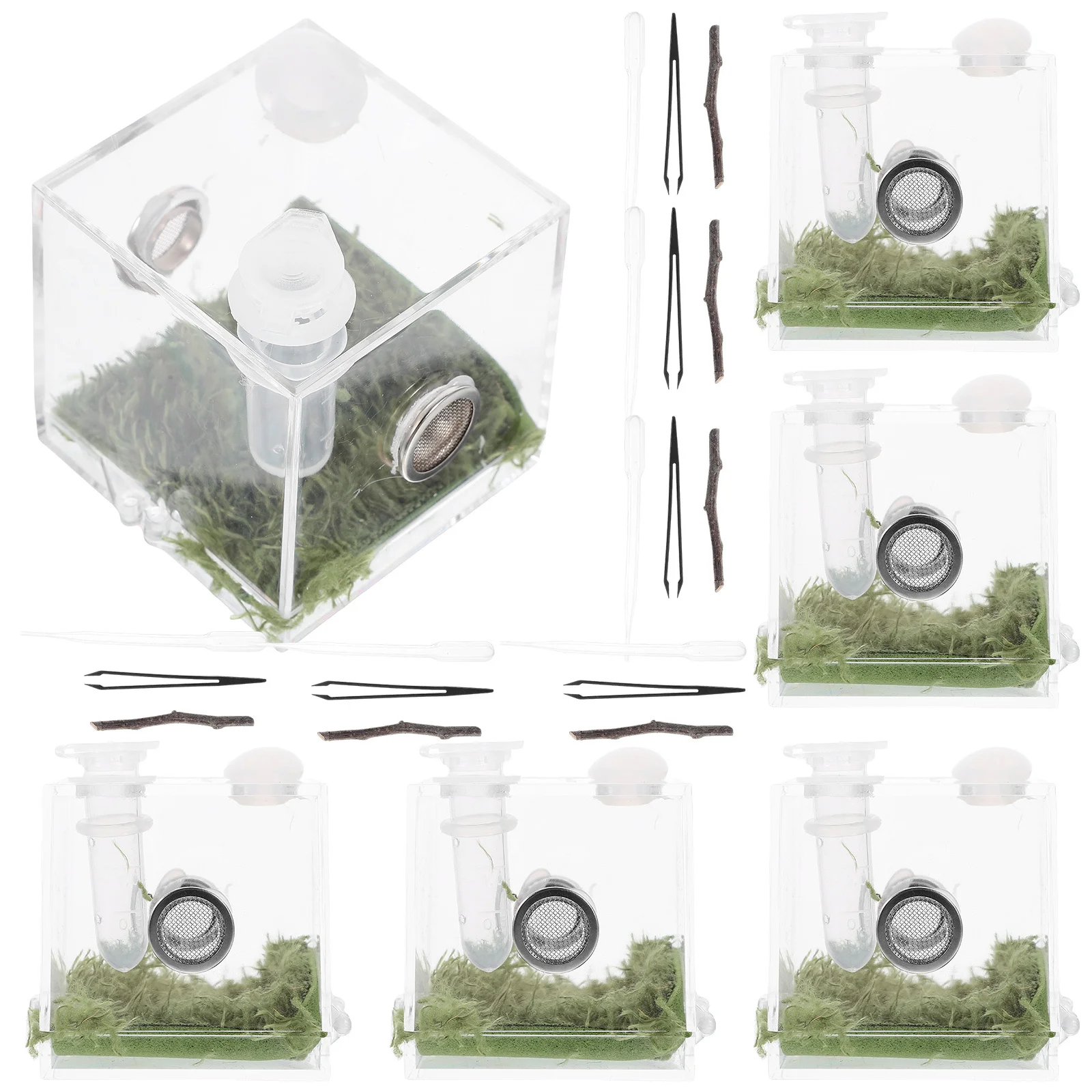 

2Sets Transparent Jumping Spider Box Fine Craftsmanship Acrylic Breeding Container for Scorpion Snail Lizard Feeder Case