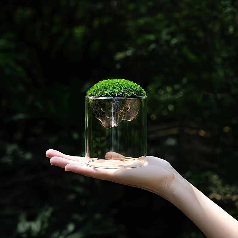 Glass Terrarium For Mountain Views Moss Planter Hydroponic Plant Container Multifunctional Cup Home Decoration Great Gift