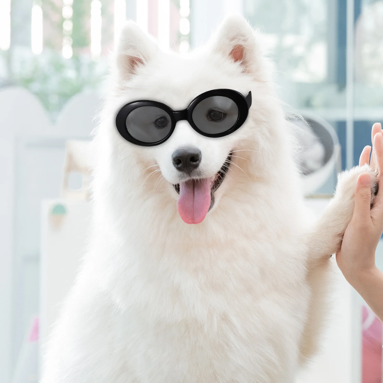 

4pcs Pet Sunglasses For Cats Small Dogs Uv Protection Miniature Animal Spectacle Frames, Cute Cosplay Photo Props, Outdoor