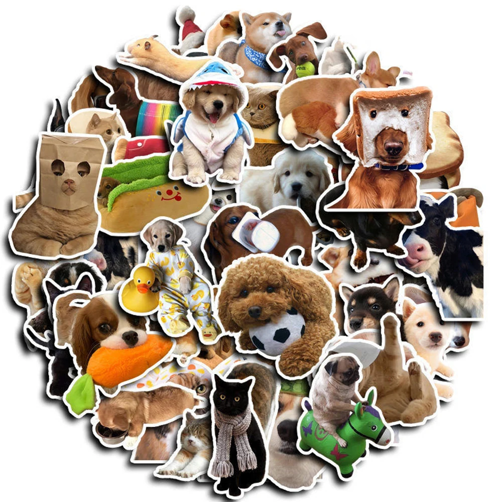 

10/30/50pcs Funny Cat Dog Meme Cartoon Stickers Cute Animals Graffiti Sticker Phone Skateboard Notebook Waterproof Decals Decor