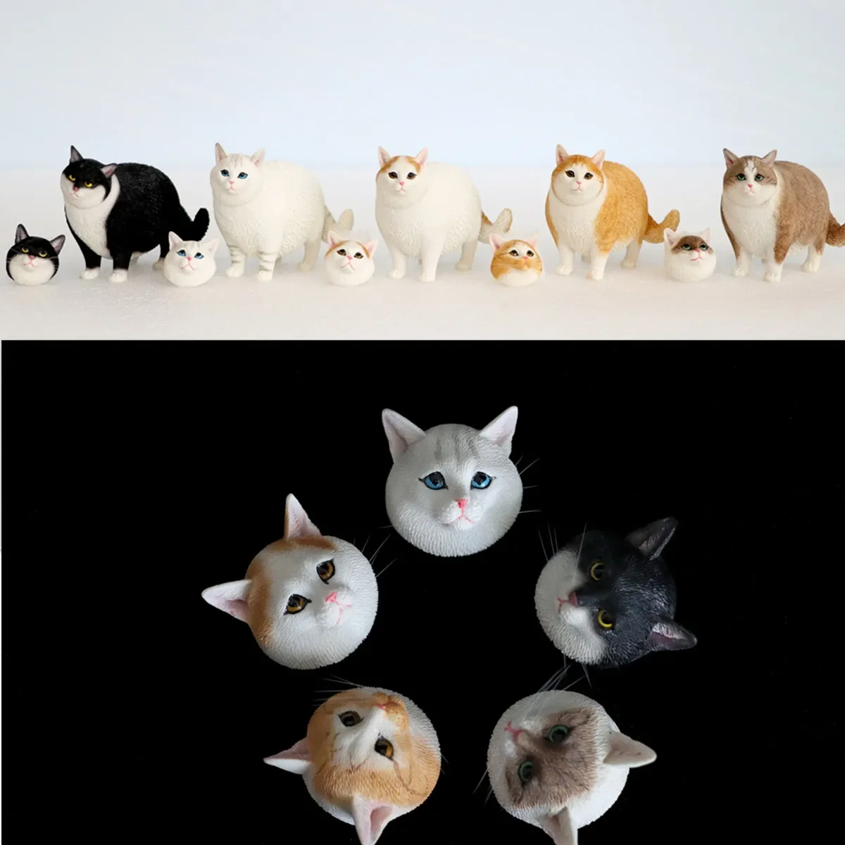 JXK 1/6 Change Head Fat Cat Model Animal Collector Pet Realistic Funny Decoration Adults Educational Toy Gift Photography Props