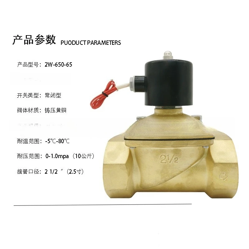 All-copper Solenoid Controller Valve 2W650-65 Normally Closed Water Valve Large Diameter 2.5 Inches