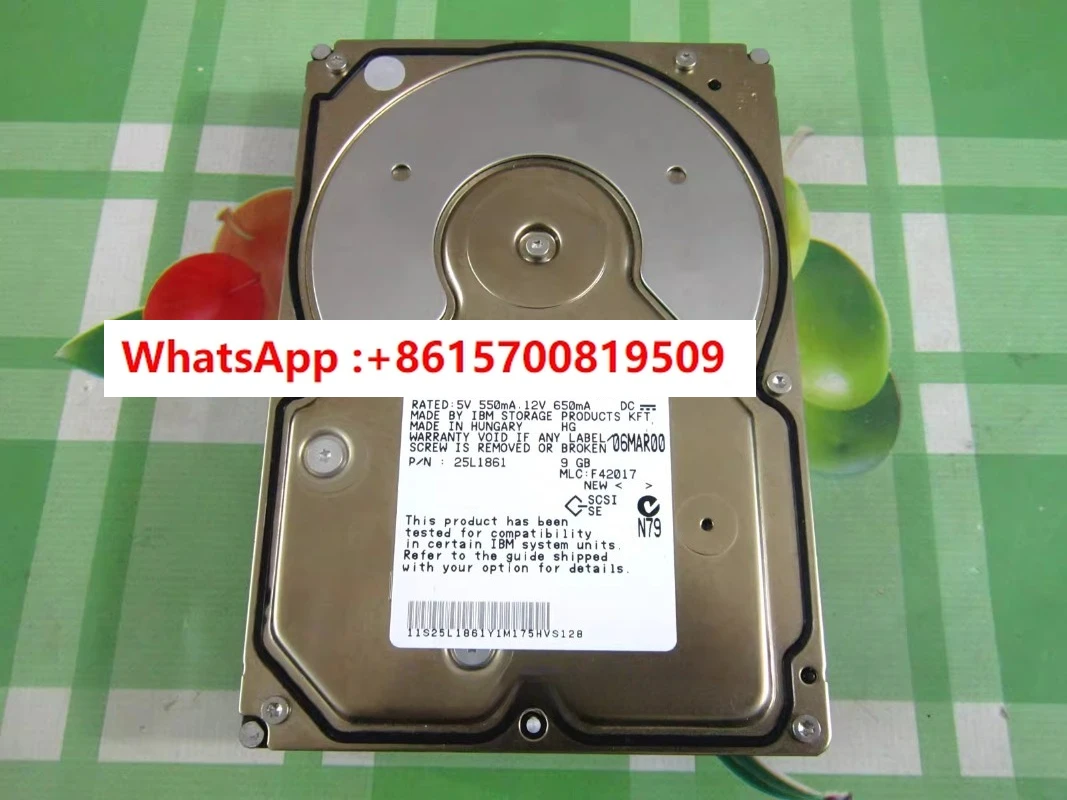 Ibm DNES-309170 9.1…