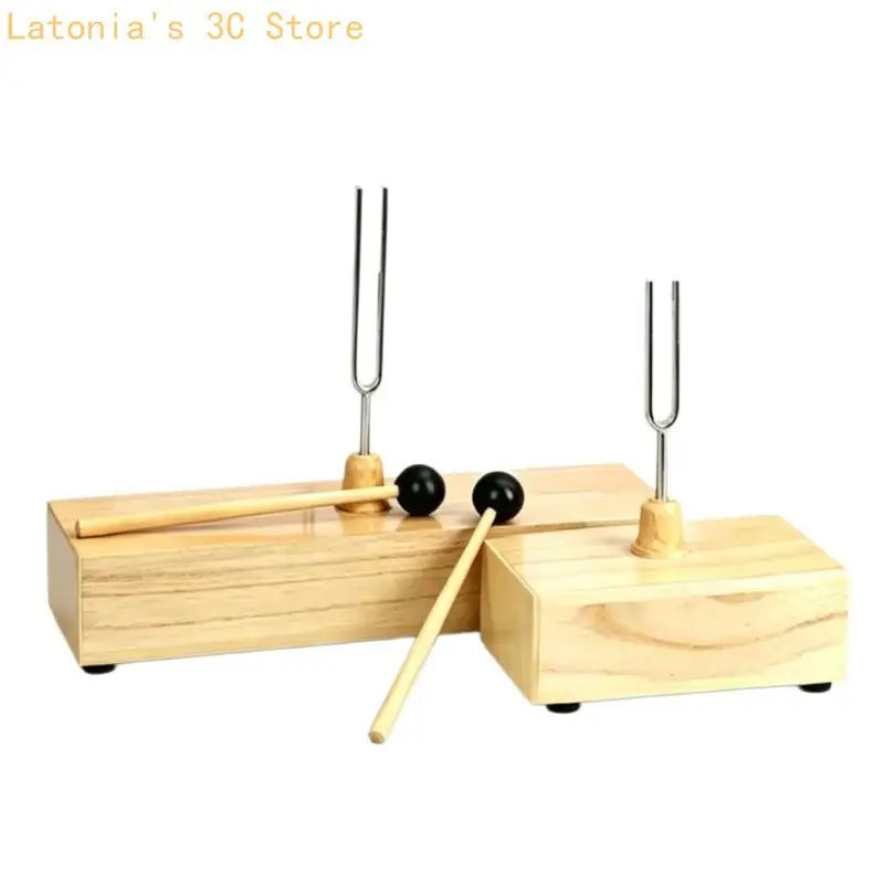 Acoustics Teaching Tuning Fork Set with 256Hz and 512Hz Assemblies for Sound Transmission, Comparison, and Frequency X3UB