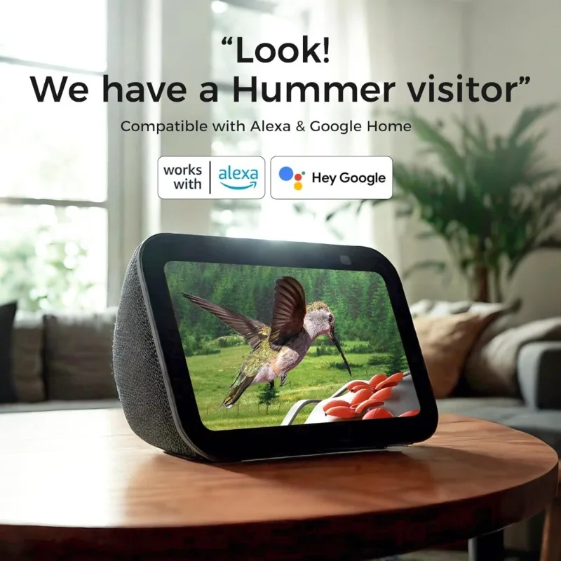 Стеклянная умная кормушка для колибри с камерой, Идентификация AI на солнечной энергии, обнаружение воды, герметичный муравей, Alexa Google