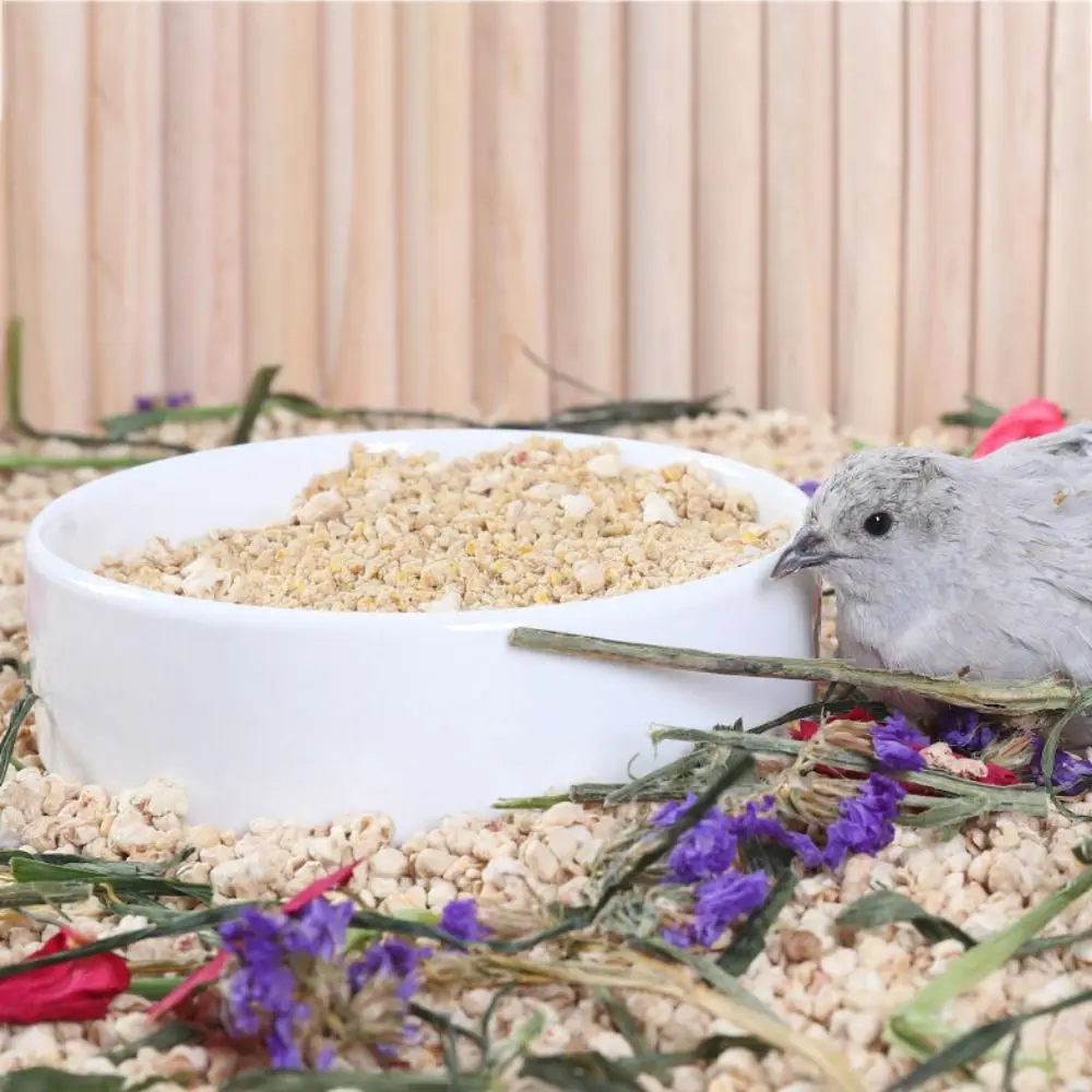 

Hamster Water Feeder Rutted Hamster Ceramics Water Feeder Ceramic Anti overturning Hamster Snack Bowl Automatic Tiny Bunny